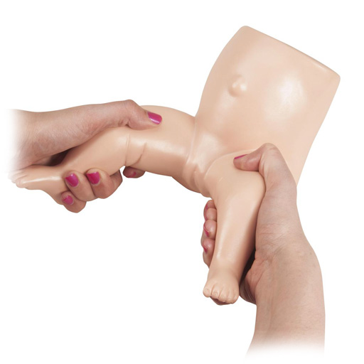 model for examination of the hips in the newborn Baby