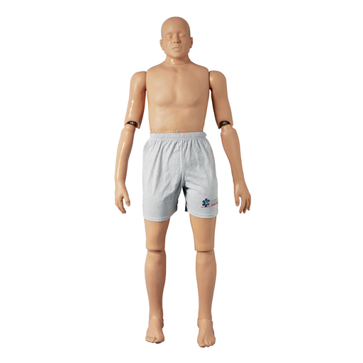 Rescue Manikin with articulated joints