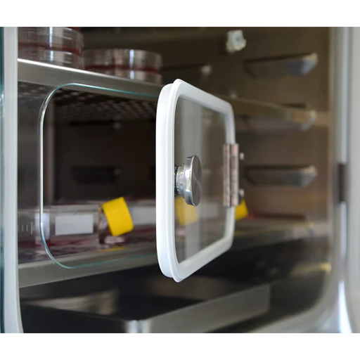 Étuves à CO2 avec stérilisation à l’air chaud et régulation de l’humidité