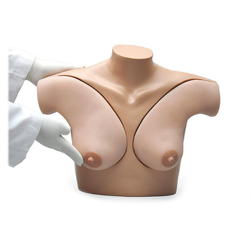 Breast task trainer maniki