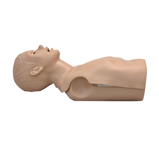 maniikin CPR Torso Simulator 