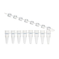 PCR Tube and Cap Strips