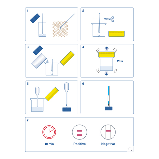 Les tests rapides de détection des allergènes dans les aliments Les tests rapides de détection des allergènes dans les aliments