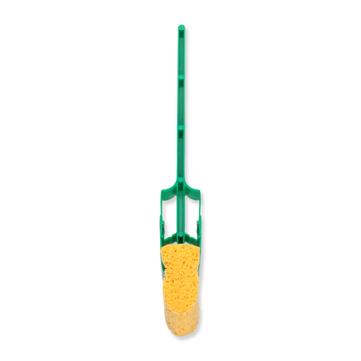 Cellulose sponge with writing area