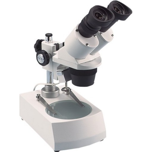 Microscope stéréo 20X to 40X