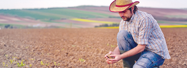 soil-geneq-environment.jpg