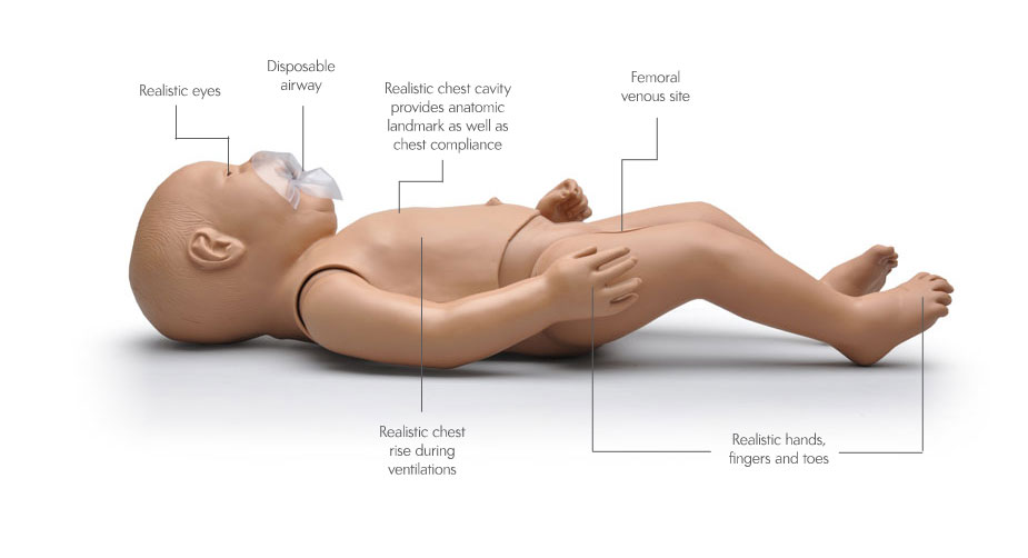 brachial pulse infant