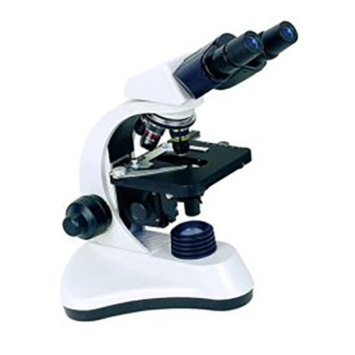 Microscope Fluorescent 